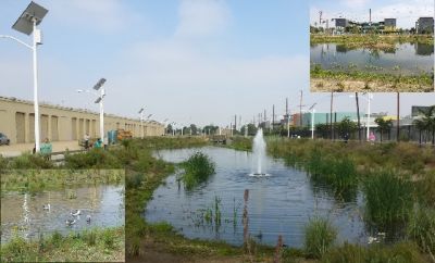 Wetlands Park
