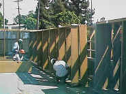 Dismantling library shelves @ Arroyo Seco